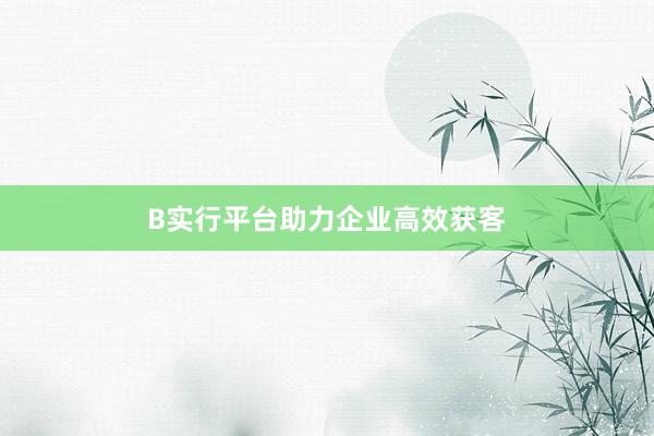 B实行平台助力企业高效获客