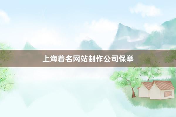 上海着名网站制作公司保举